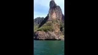 Остров курицы