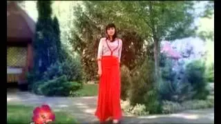 Модная трикотажная одежда РИТО