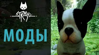 Моды в Stray