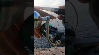 Esto nunca pasa de moda