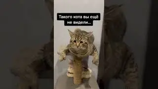 Встречали такие лапы раннее?