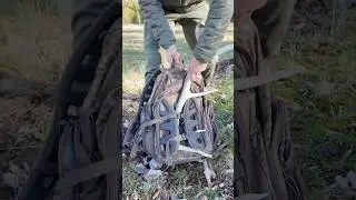 Found an Elk Shed—Here’s the Perfect Pack for It!