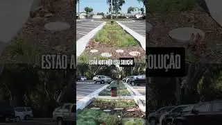 Bioswales Are the Future of Smart Cities!