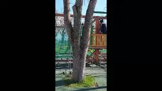 A simple walk 29