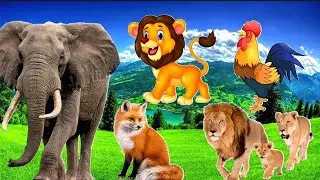 Animal sounds.Sounds of a tiger, an elephant, a bear, a pig, chickens, a cat and others.