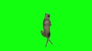🐶 Собака танцует под 