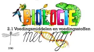 2VG - 2.1 Voedingsmiddelen en voedingsstoffen