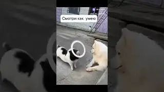 смотри как умею