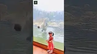 Tiger and Child / Cool miniature photography #shorts 17 /cool miniature photography ideas