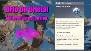 Como conseguir 