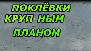 рыбалка с ночёвкой.рыбалка в камышах с лодки на карася. рыбалка на поплавок