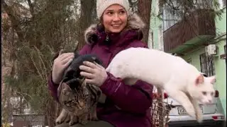 Котогрейки❄️🐈🤗
