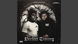 Perfect Timing (feat. Zir)