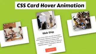 CSS Card Hover Effects Bnagla | CSS Card Hover | CSS Card Animation | HTML CSS Card Effects Tutorial