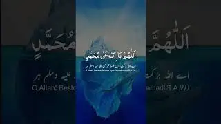 اَللّٰھُمَّ صَلِّ عَلٰی ,مُحَمَّدٍ وَّعَلٰٓی اٰلِ مُحَمَّدٍ کَمَا صَلَّیْتَ عَلٰٓی اِب #wildanimals