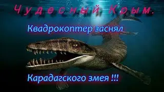 Квадрокоптер заснял Карадагского змея !!!/Чудесный Крым.