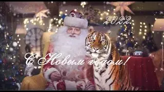 Новогоднее тигриное