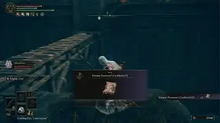 ELDEN RING_DLC Shadow of the erdtree Kight Garrew vs rl1 scadu 17 Bossfight