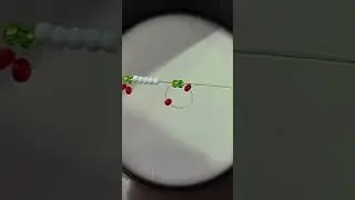 Колечко 