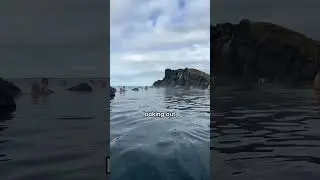 Don't go to the blue lagoon in Iceland