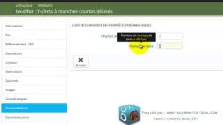 Formation vidéo Prestashop 1.6 - comment ajouter un formulaire de personnalisation