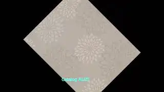 Catalog ALIZE By Marburg