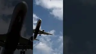 До самого неба........