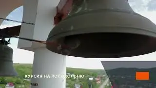 В Самарской области в Волгу выпустили 4700 мальков стерляди