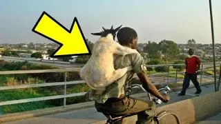 25 Craziest Photos Taken in Africa