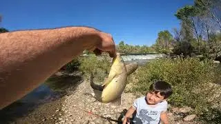 Küçük Balıkçı Irmakta Balıklar İle Savaşıyor& Little fisherman fights with fish in the river