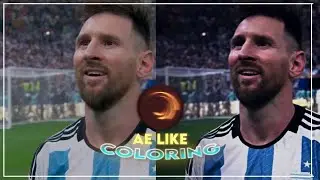 Ae Like Coloring | Alight Motion Cc | (+XML)