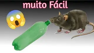 Como fazer Ratoeira de garrafa PET