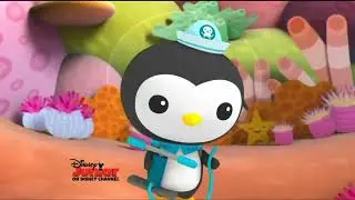 Octonauts Now Screenbug/Little Einsteins and Despicable Me Coming Up Screenbug on November 2, 2012