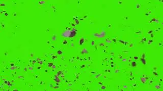 Falling leaves 4k | FREE FOOTAGE | Green screen