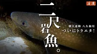 【渓流釣り】ついにとらえた！”２尺”イワナ／八久和川、国内最大級の源流へ～5日間の全記録。