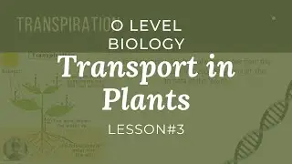 Transport in Plants | Lesson # 3 | O level Biology | A lesson a day ||