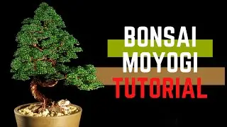 🌳🍃 WIRE BONSAI TREE || informal vertical (MOYOGI) || TUTORIAL || TIME LAPSE