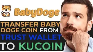 How to Transfer Baby Doge Coin from Trust Wallet to KuCoin - EASY GUIDE