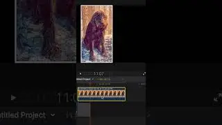 How to Transform a Photo Into a Drawing, sketch or Line Art using Final Cut Pro