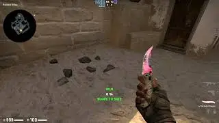 CSGO: Flip knfie Doppler Phase 2 FN 0.01 Animations.