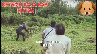 PARA PEMBURU KETEMU RAJA BABI HUTAN