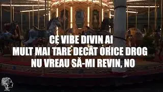 Flo Nocturn - Carusel (Versuri)