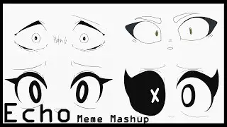 ECHO (Meme Mashup)