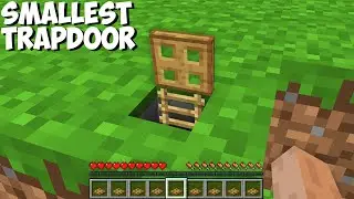How to OPEN most SMALLEST TRAPDOOR in Minecraft ? THIS PIXEL TUNNEL !