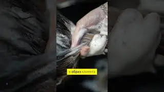 💇‍♀️Немного о работе парикмахера... #сочи