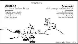 Acidosis and Alkalosis Mnemonic- One picture and so simple to remember