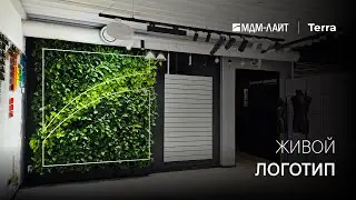 ФИТОСТЕНА: живой логотип МДМ-ЛАЙТ от TERRA 🍀🍀🍀