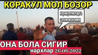 БУХОРО КОРАКУЛ МОЛ БОЗОР 26/06/2022. BUXORO QORAKUL MOL BOZOR