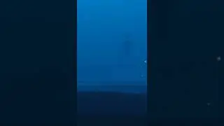 Siren Head có tồn tại? 😱😱 #shorts
