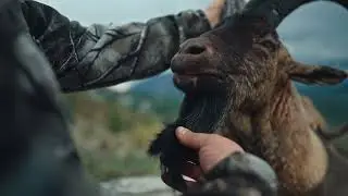 A Monza Hunting Film, Anatolian Bezoar Ibex, Turkey